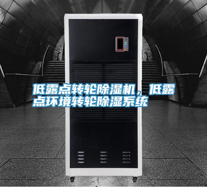 低露點轉輪除濕機，低露點環(huán)境轉輪除濕系統(tǒng)