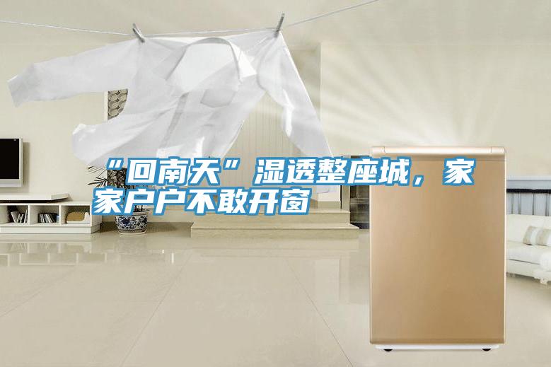 “回南天”濕透整座城,家家戶戶不敢開窗