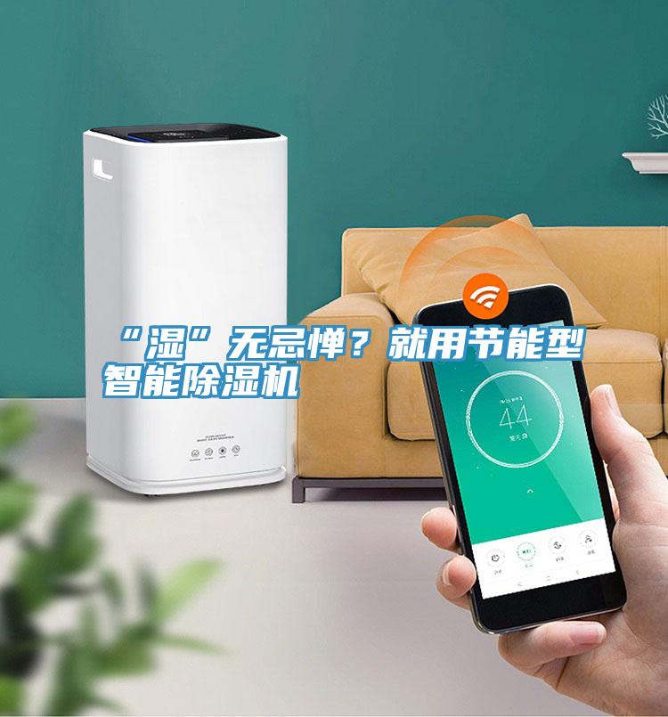 “濕”無忌憚?就用節能型智能除濕機