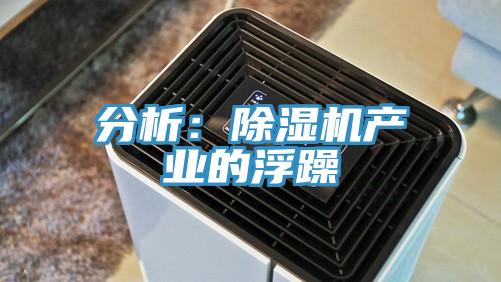 分析:除濕機產(chǎn)業(yè)的浮躁