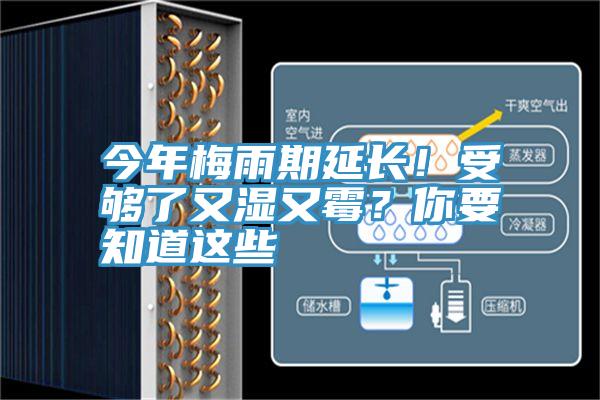 今年梅雨期延長！受夠了又濕又霉？你要知道這些