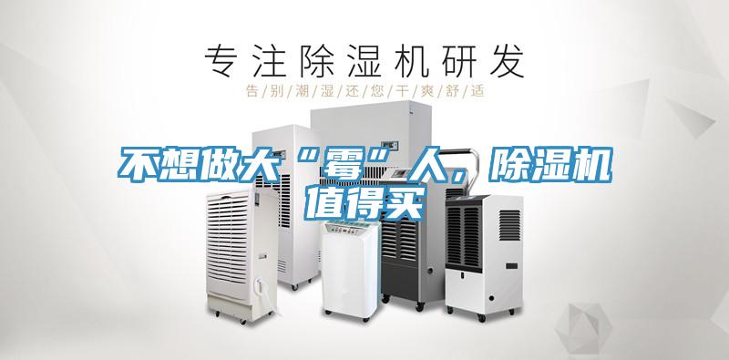 不想做大“霉”人,除濕機值得買