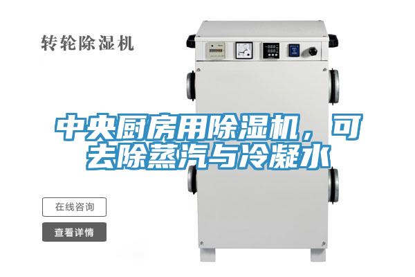 中央廚房用除濕機，可去除蒸汽與冷凝水