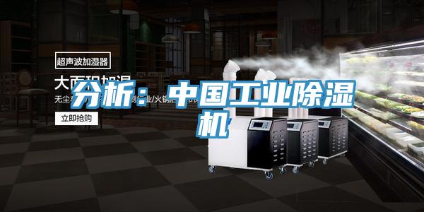 分析:中國工業除濕機