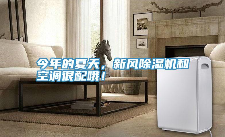 今年的夏天，新風(fēng)除濕機(jī)和空調(diào)很配哦！