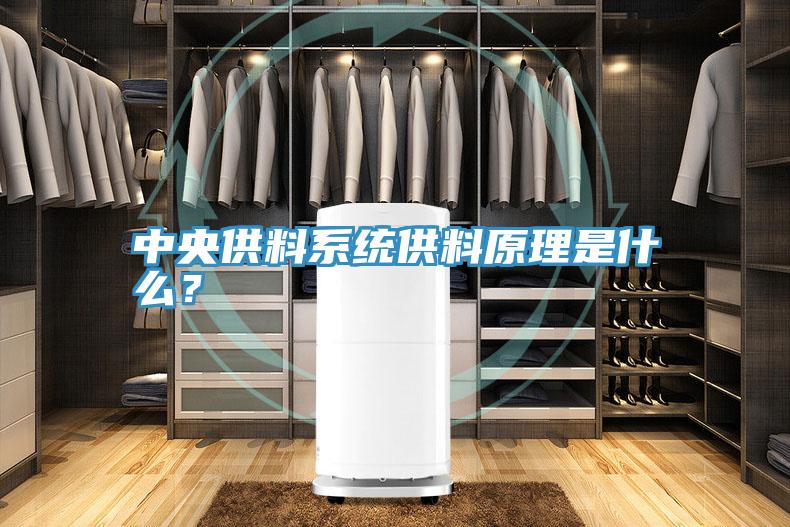 中央供料系統供料原理是什么?