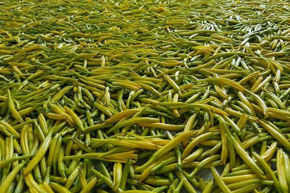 無硫金針菜烘干如何保持品相？不發黑？_除濕機廠家