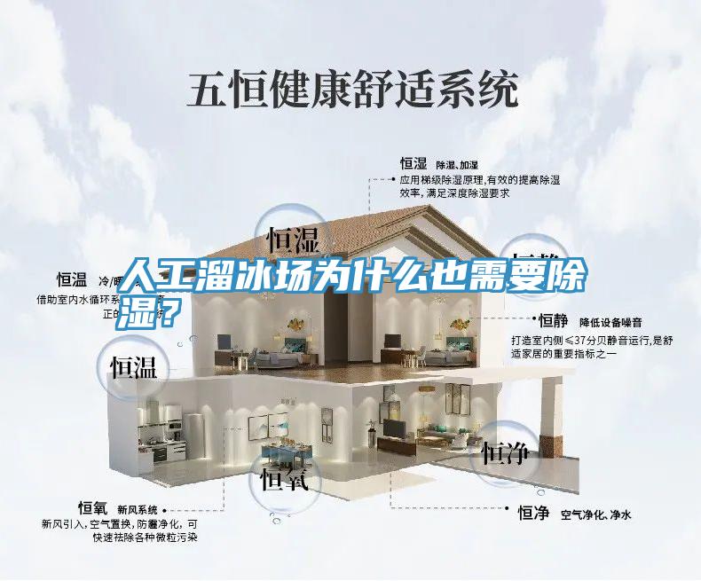 人工溜冰場為什么也需要除濕？