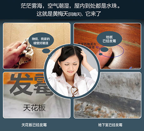 家庭別墅的地下室、衛生間、儲物室等該如何除濕？