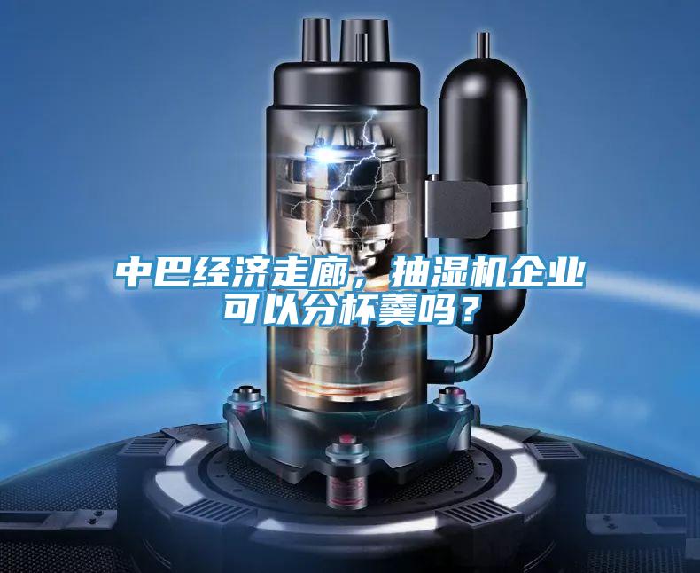 中巴經濟走廊，抽濕機企業可以分杯羹嗎？