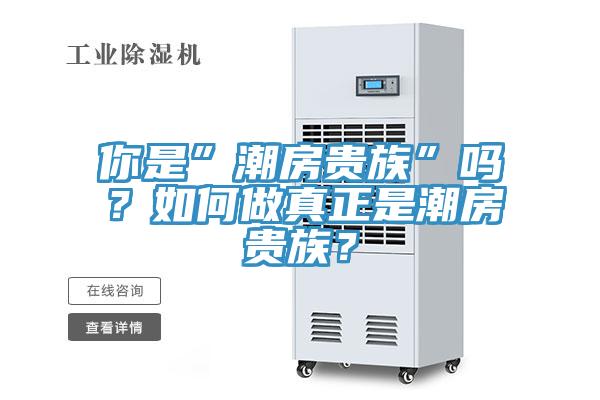 你是”潮房貴族”嗎？如何做真正是潮房貴族？