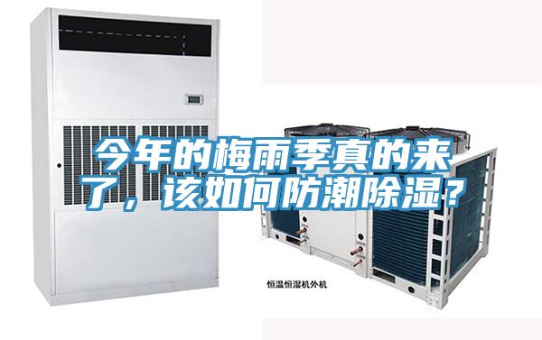 今年的梅雨季真的來了，該如何防潮除濕？