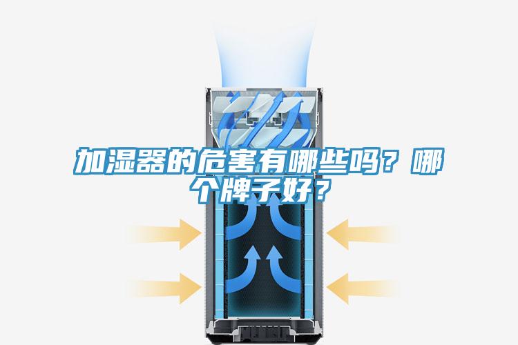 加濕器的危害有哪些嗎？哪個牌子好？