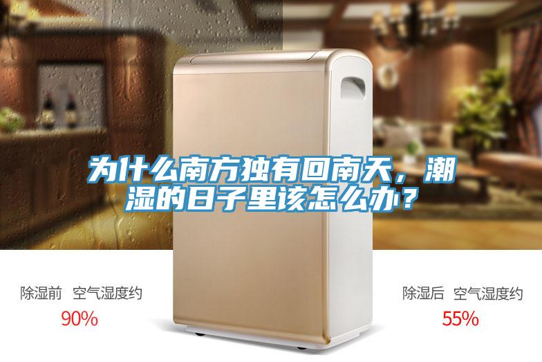 為什么南方獨有回南天，潮濕的日子里該怎么辦？