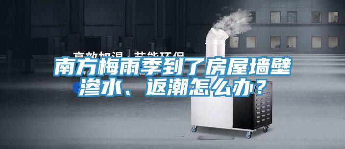 南方梅雨季到了房屋墻壁滲水、返潮怎么辦?