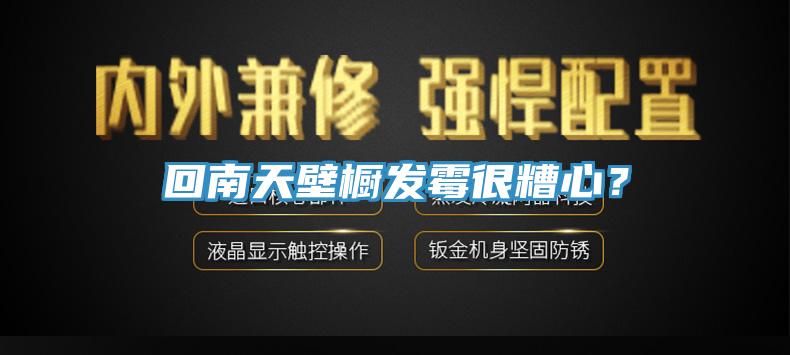 回南天壁櫥發霉很糟心?