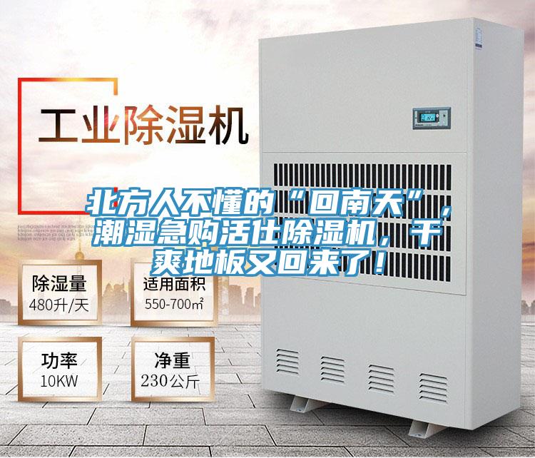 北方人不懂的“回南天”，潮濕急購活仕除濕機，干爽地板又回來了！