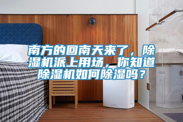 南方的回南天來了，除濕機派上用場，你知道除濕機如何除濕嗎？