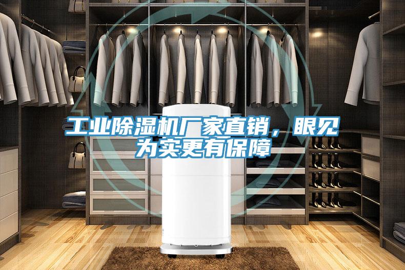 工業(yè)除濕機(jī)廠家直銷,眼見為實(shí)更有保障