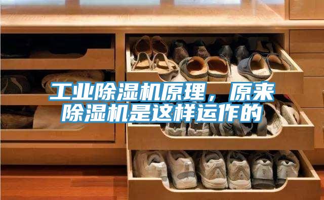 工業(yè)除濕機(jī)原理,原來除濕機(jī)是這樣運(yùn)作的