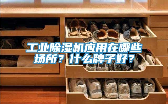工業(yè)除濕機應用在哪些場所？什么牌子好？