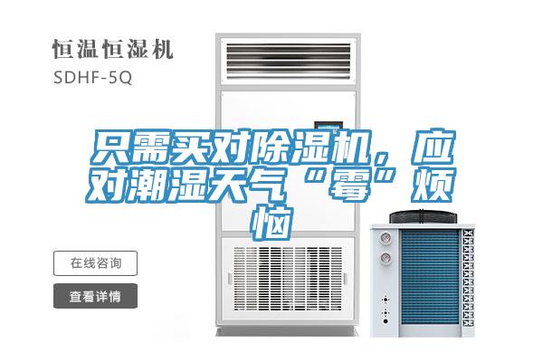 只需買對除濕機，應對潮濕天氣“霉”煩惱