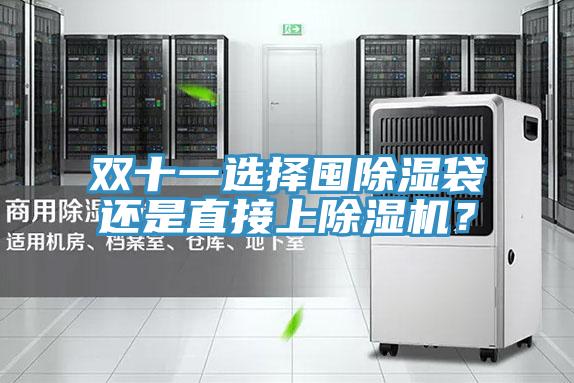 雙十一選擇囤除濕袋還是直接上除濕機？
