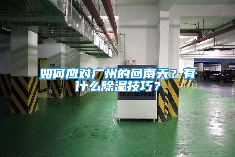 如何應對廣州的回南天？有什么除濕技巧？