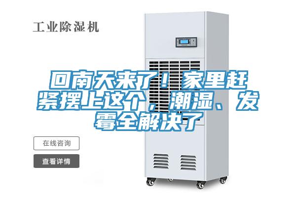 回南天來了!家里趕緊擺上這個,潮濕、發霉全解決了