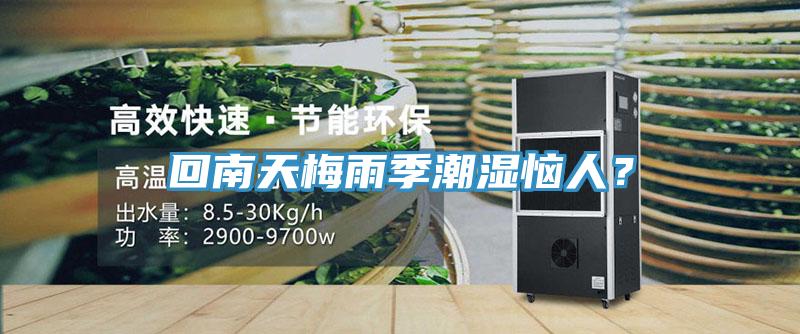 回南天梅雨季潮濕惱人?