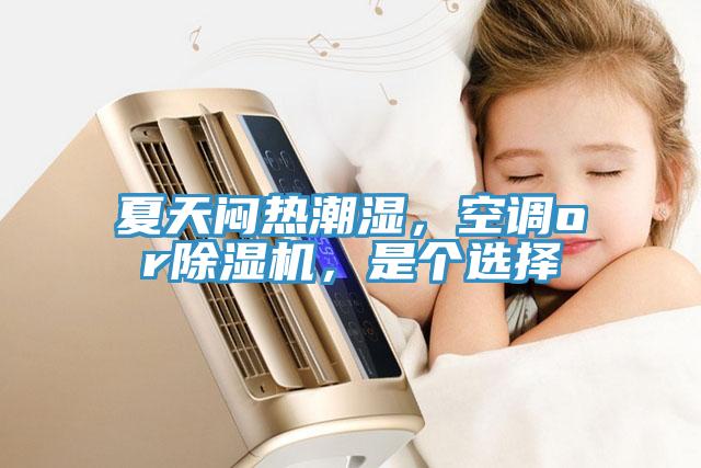 夏天悶熱潮濕，空調or除濕機，是個選擇