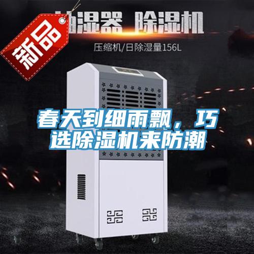 春天到細(xì)雨飄,巧選除濕機(jī)來防潮