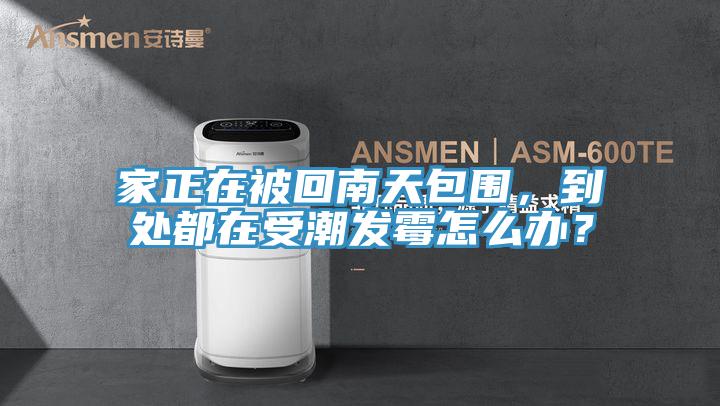 家正在被回南天包圍，到處都在受潮發霉怎么辦？