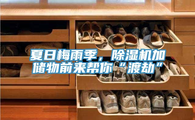 夏日梅雨季，除濕機加儲物前來幫你“渡劫”