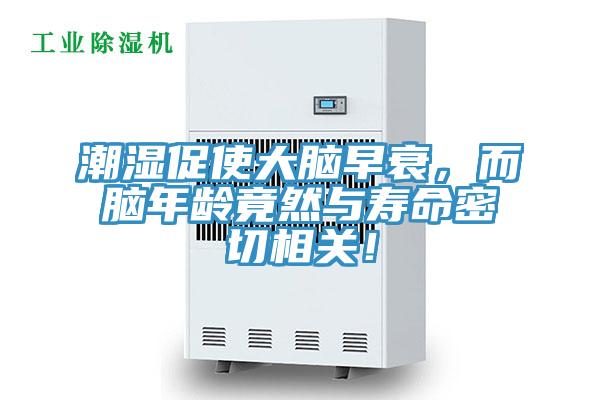 潮濕促使大腦早衰，而腦年齡竟然與壽命密切相關！