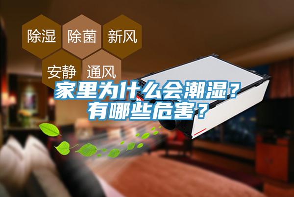 家里為什么會潮濕?有哪些危害?