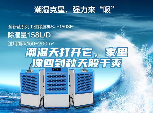潮濕天打開它，家里像回到秋天般干爽