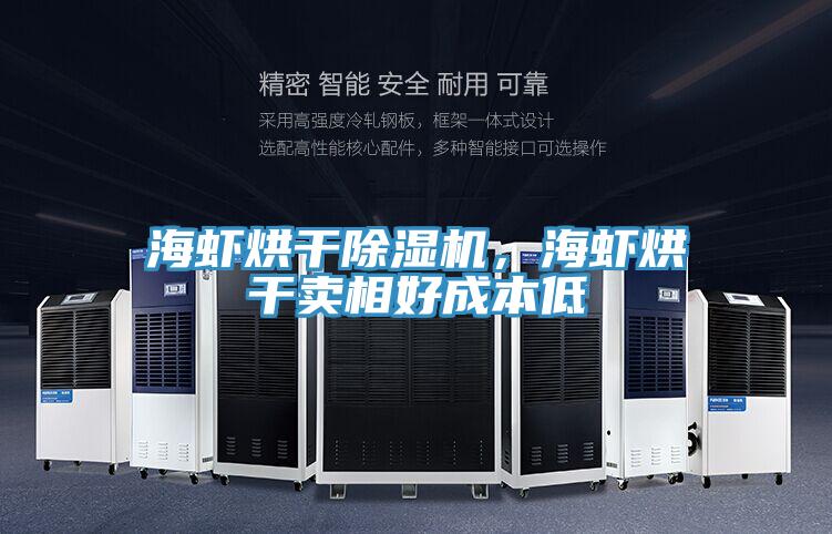 海蝦烘干除濕機(jī),海蝦烘干賣(mài)相好成本低