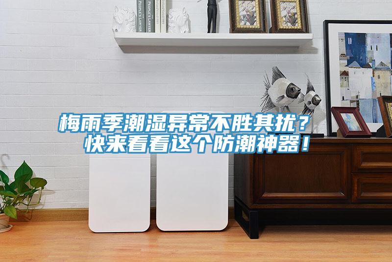 梅雨季潮濕異常不勝其擾? 快來看看這個防潮神器!