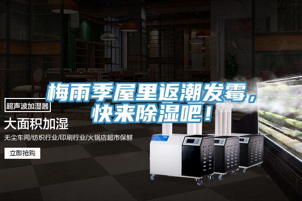 梅雨季屋里返潮發(fā)霉,快來除濕吧!