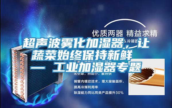 超聲波霧化加濕器，讓蔬菜始終保持新鮮 — 工業加濕器專題