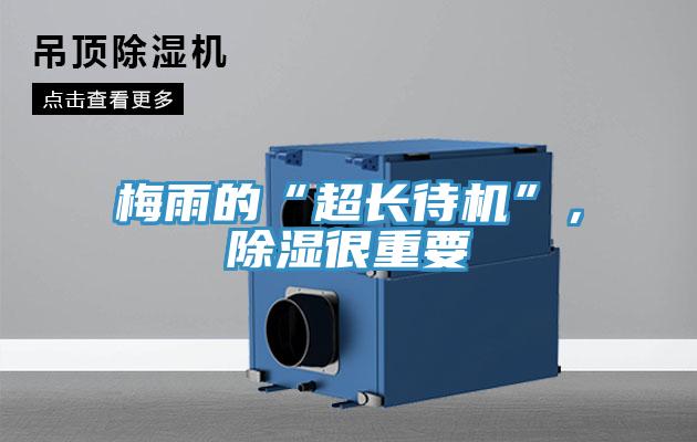 梅雨的“超長待機”，除濕很重要