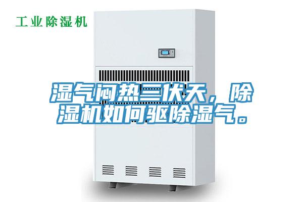 濕氣悶熱三伏天，除濕機如何驅除濕氣。