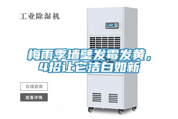 梅雨季墻壁發(fā)霉發(fā)黃,4招讓它潔白如新