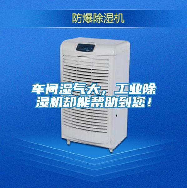 車間濕氣大，工業除濕機卻能幫助到您！