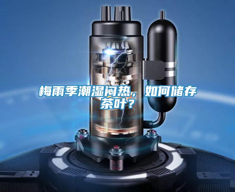 梅雨季潮濕悶熱，如何儲存茶葉？