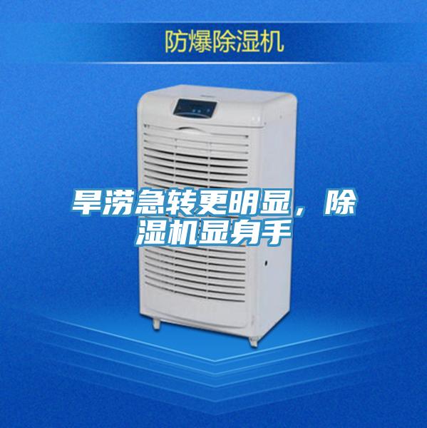 旱澇急轉更明顯，除濕機顯身手