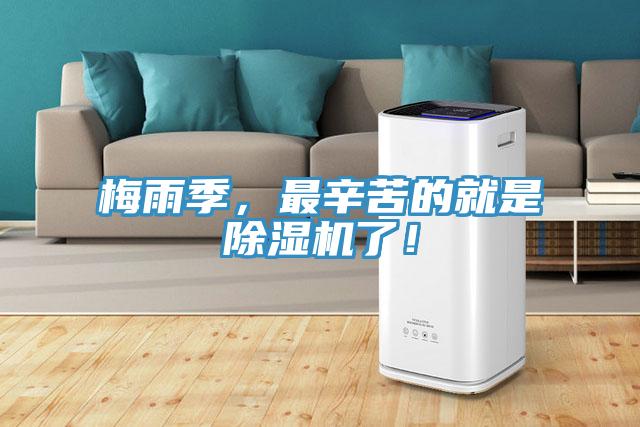 梅雨季，最辛苦的就是除濕機了！