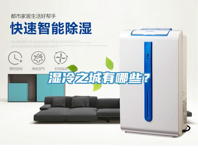 濕冷之城有哪些？