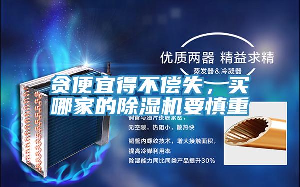 貪便宜得不償失，買哪家的除濕機要慎重